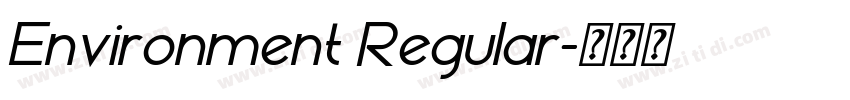 Environment Regular字体转换 Environment Regular字体转换
